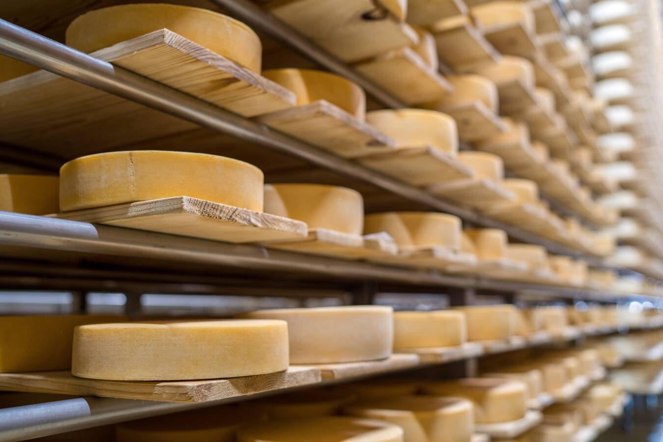 Swissdly AG- Spezialist für den Export von Schweizer Käse.